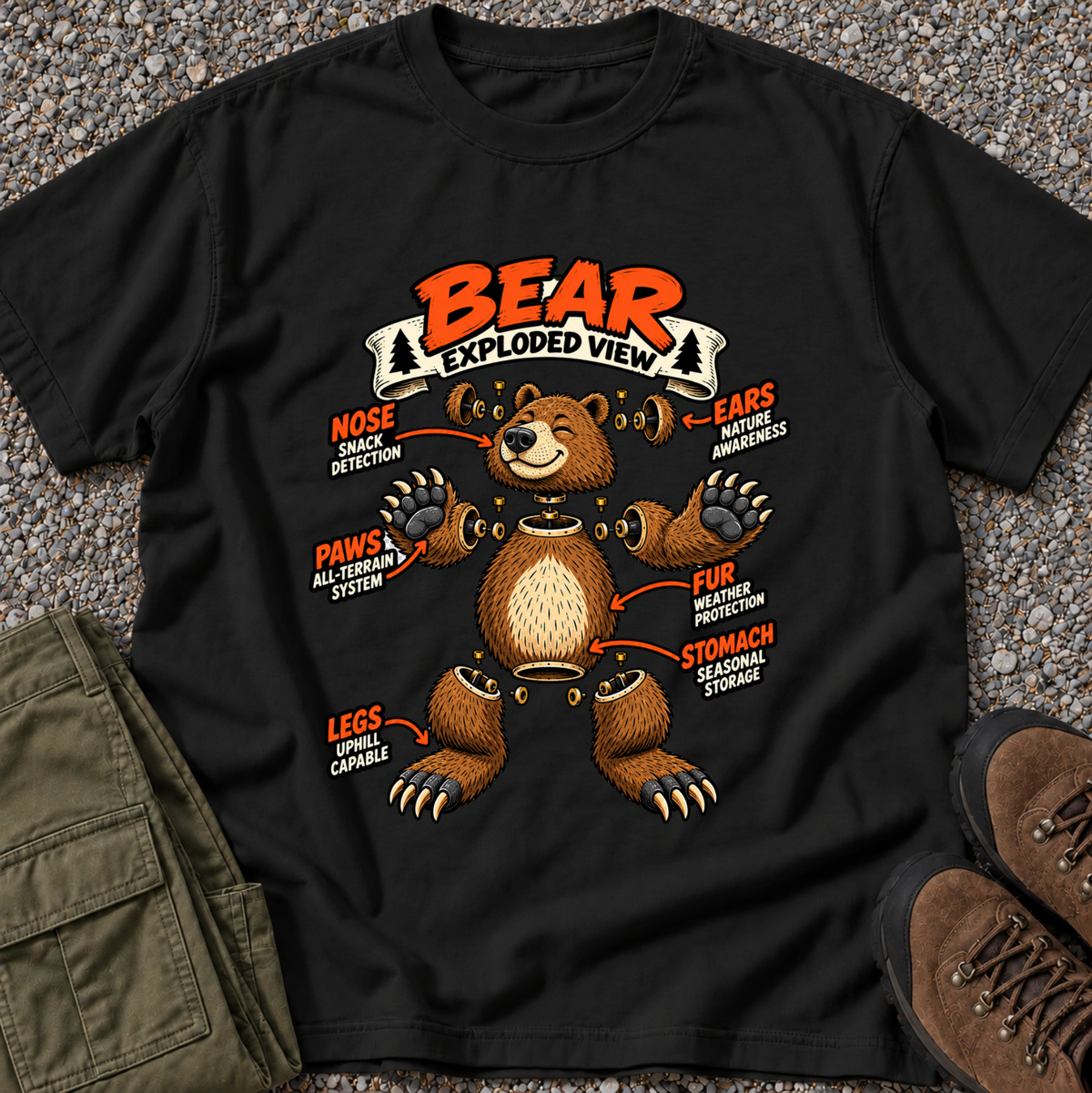 Bear Exploded View
