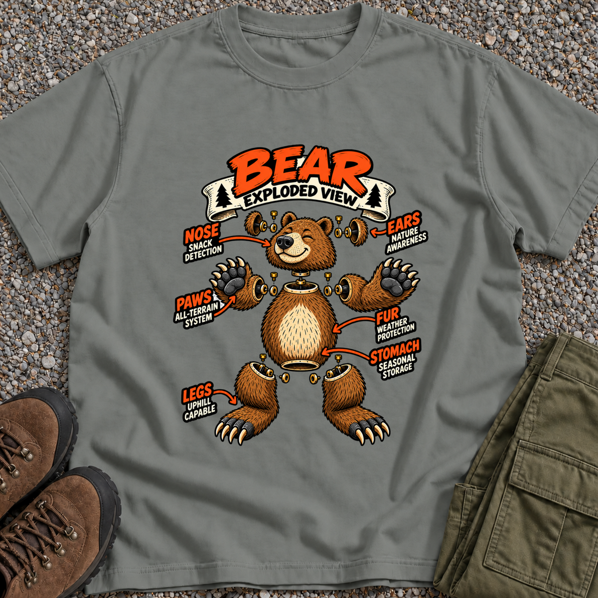 Bear Exploded View