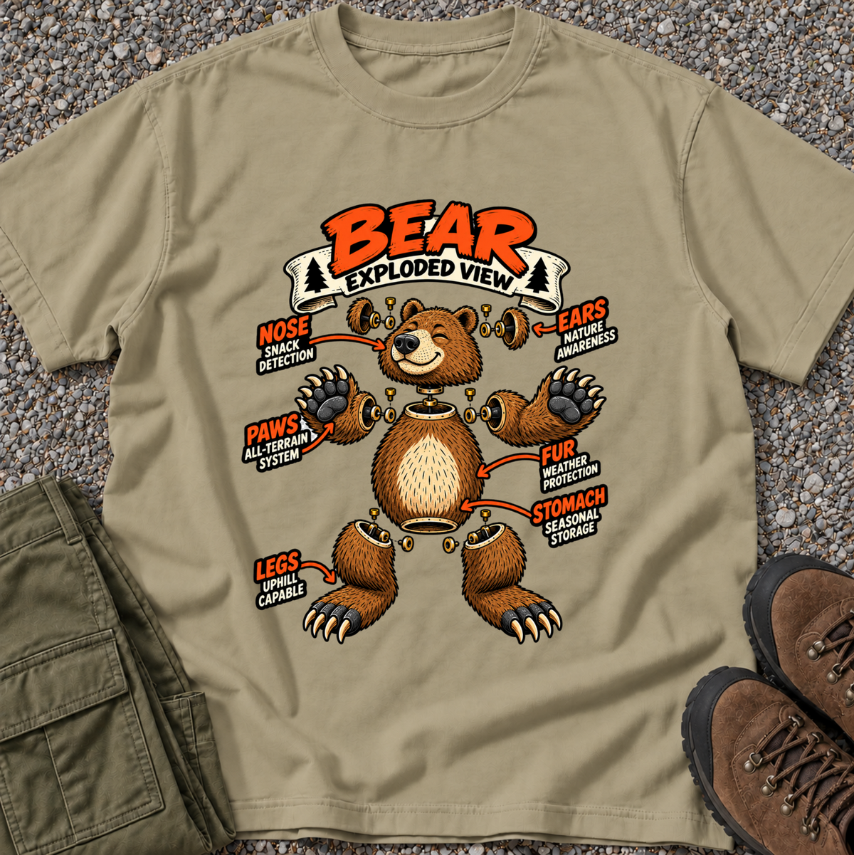 Bear Exploded View
