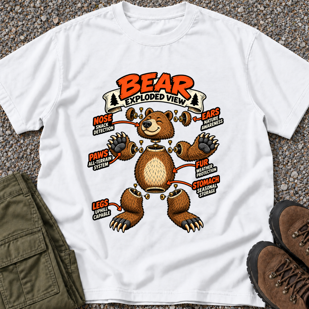 Bear Exploded View