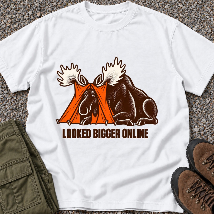 Looked Bigger Online
