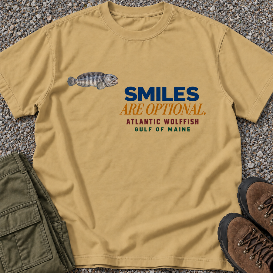 Smiles Are Optional